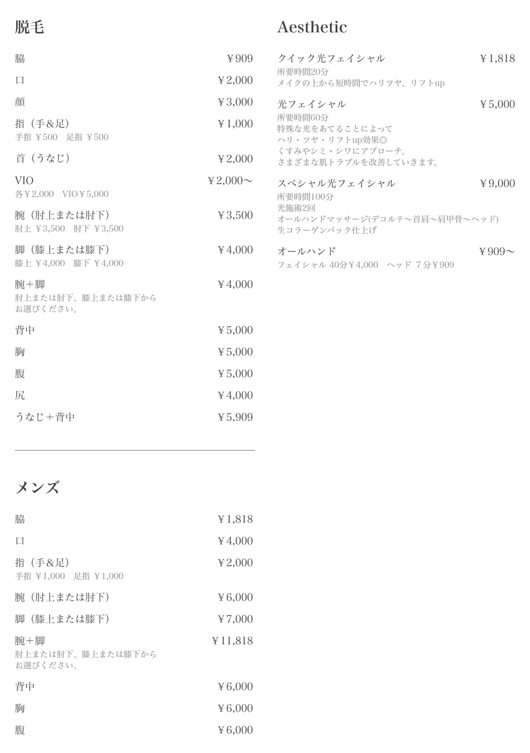 エステメニュー